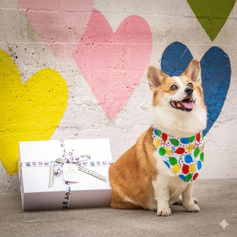 Claudia’s Signature Birthday Box