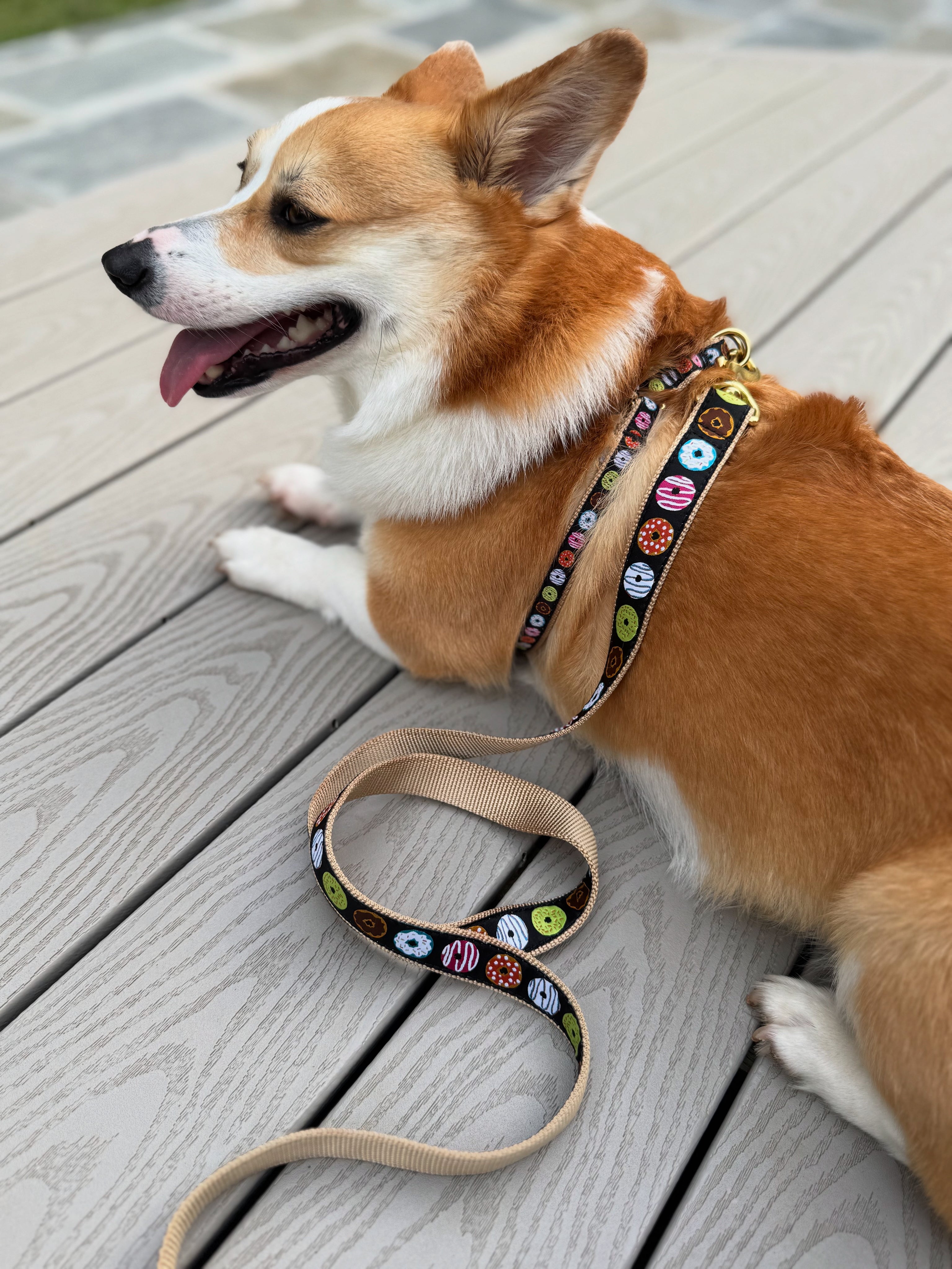 Donuts Dog Harness
