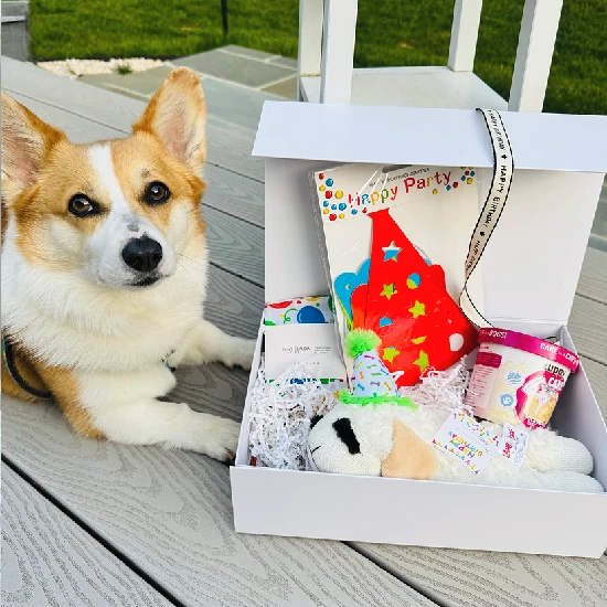 Claudia’s Signature Dog Birthday Box