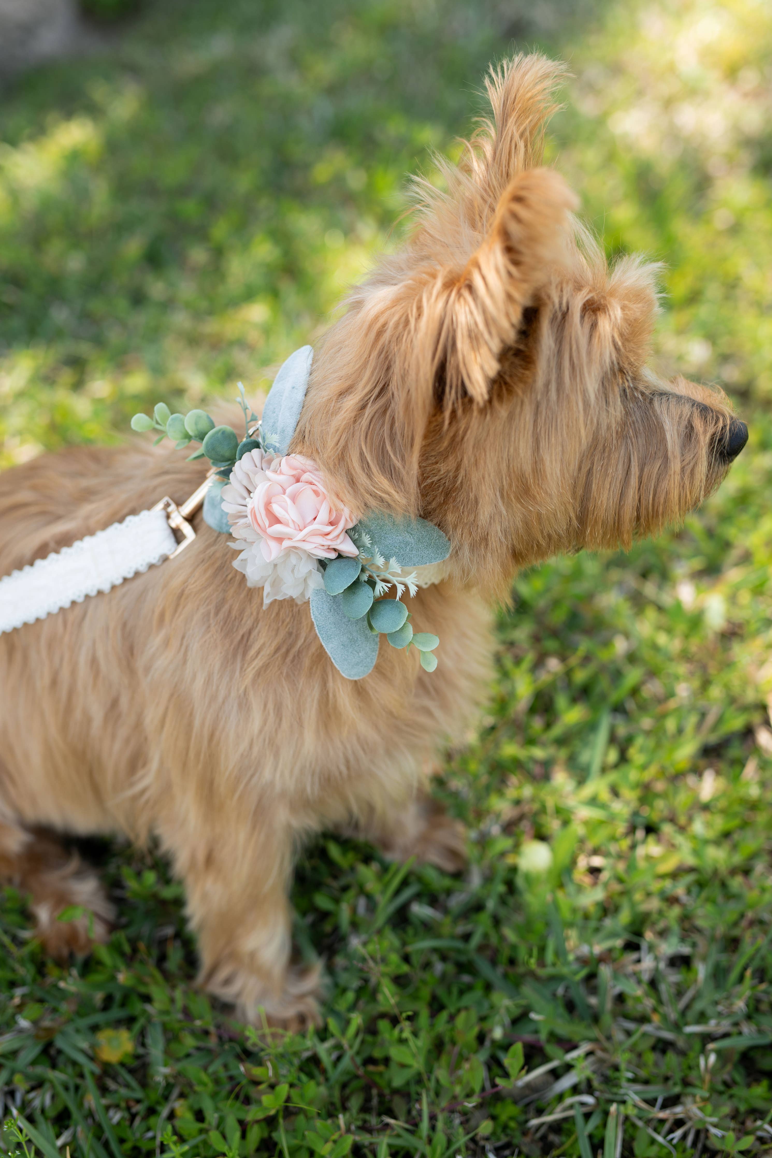 Floral Decor for Dog Collar | Ring Bearer Dog