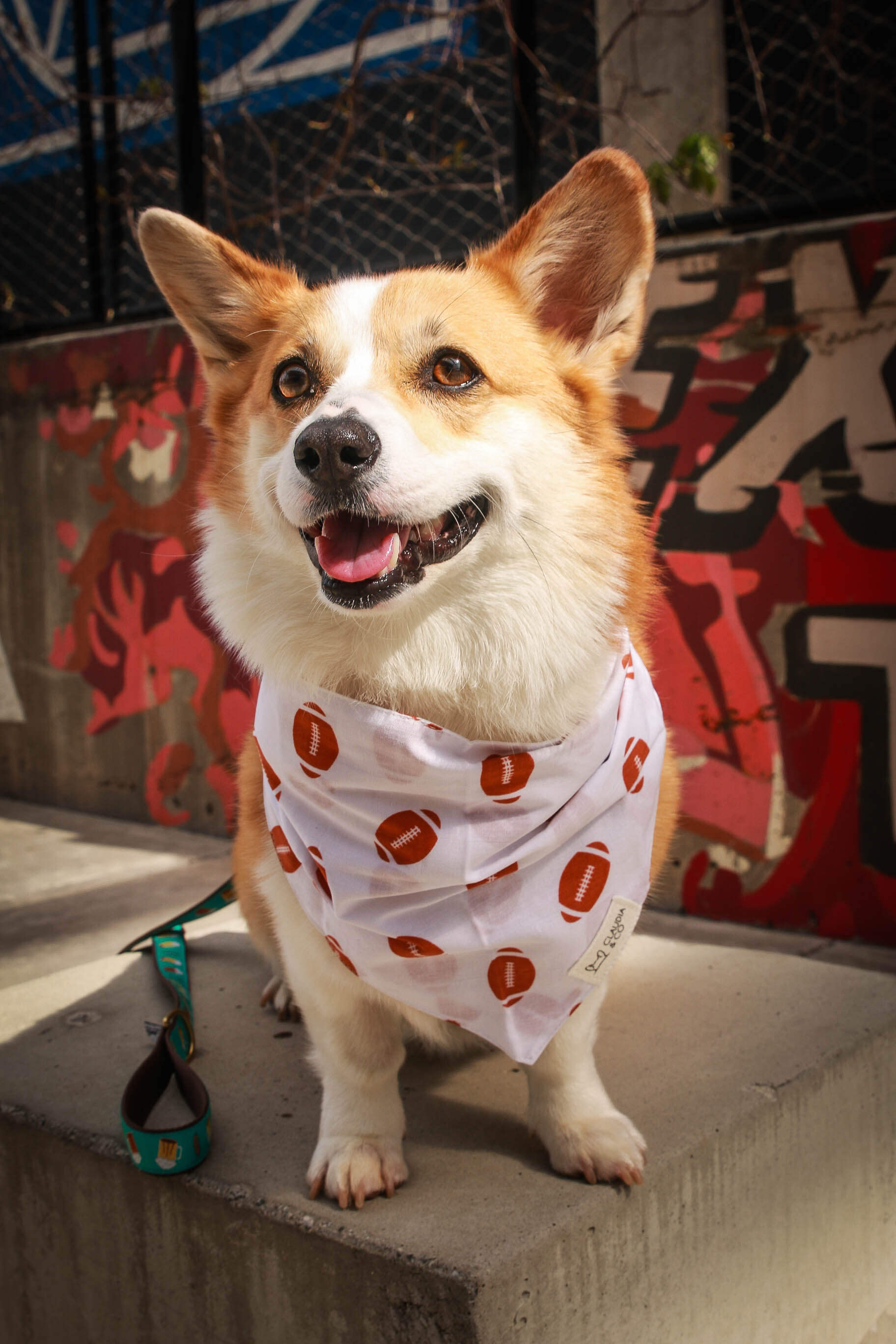 Football Bandana
