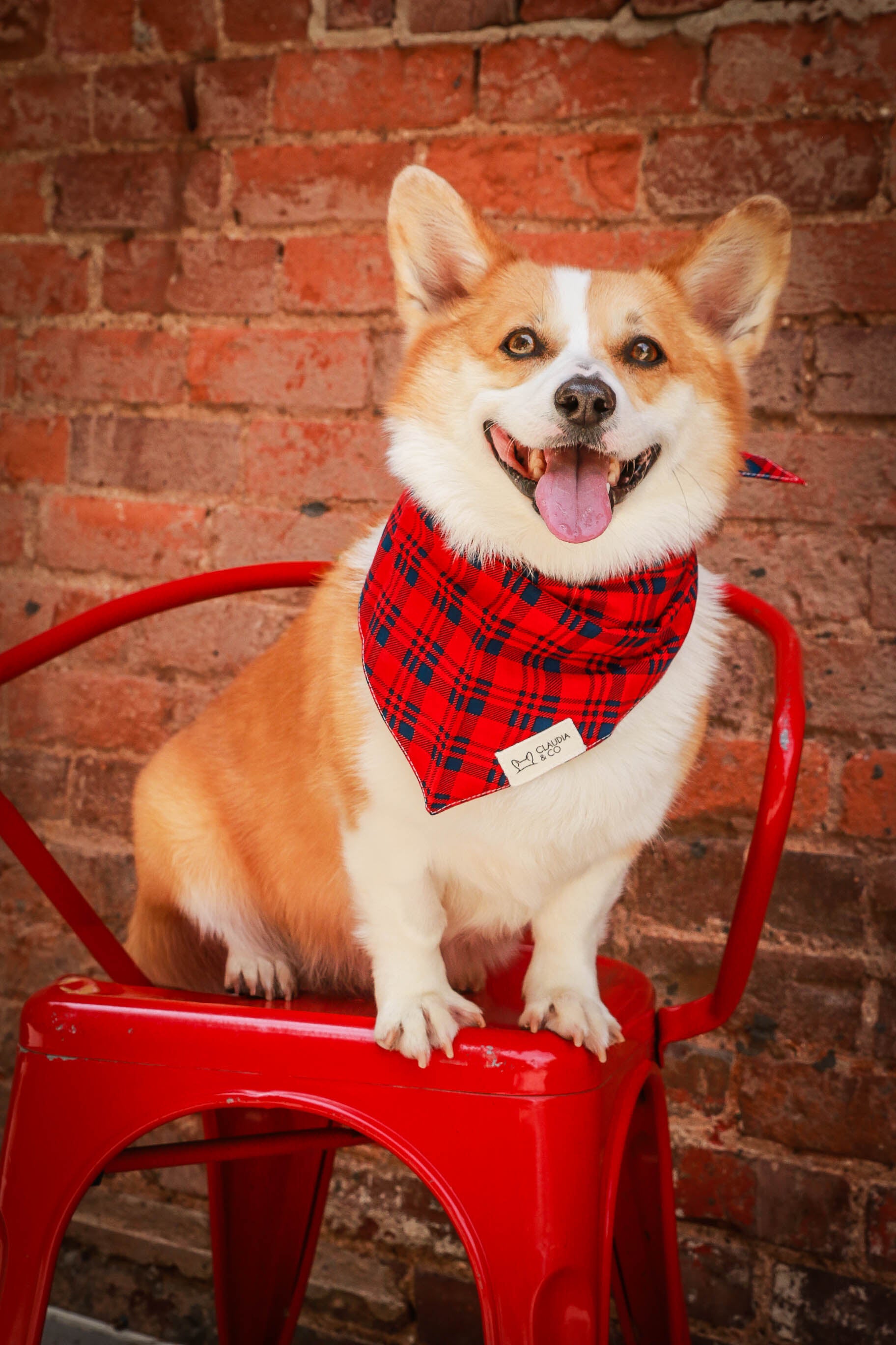 Cabin Fever Bandana