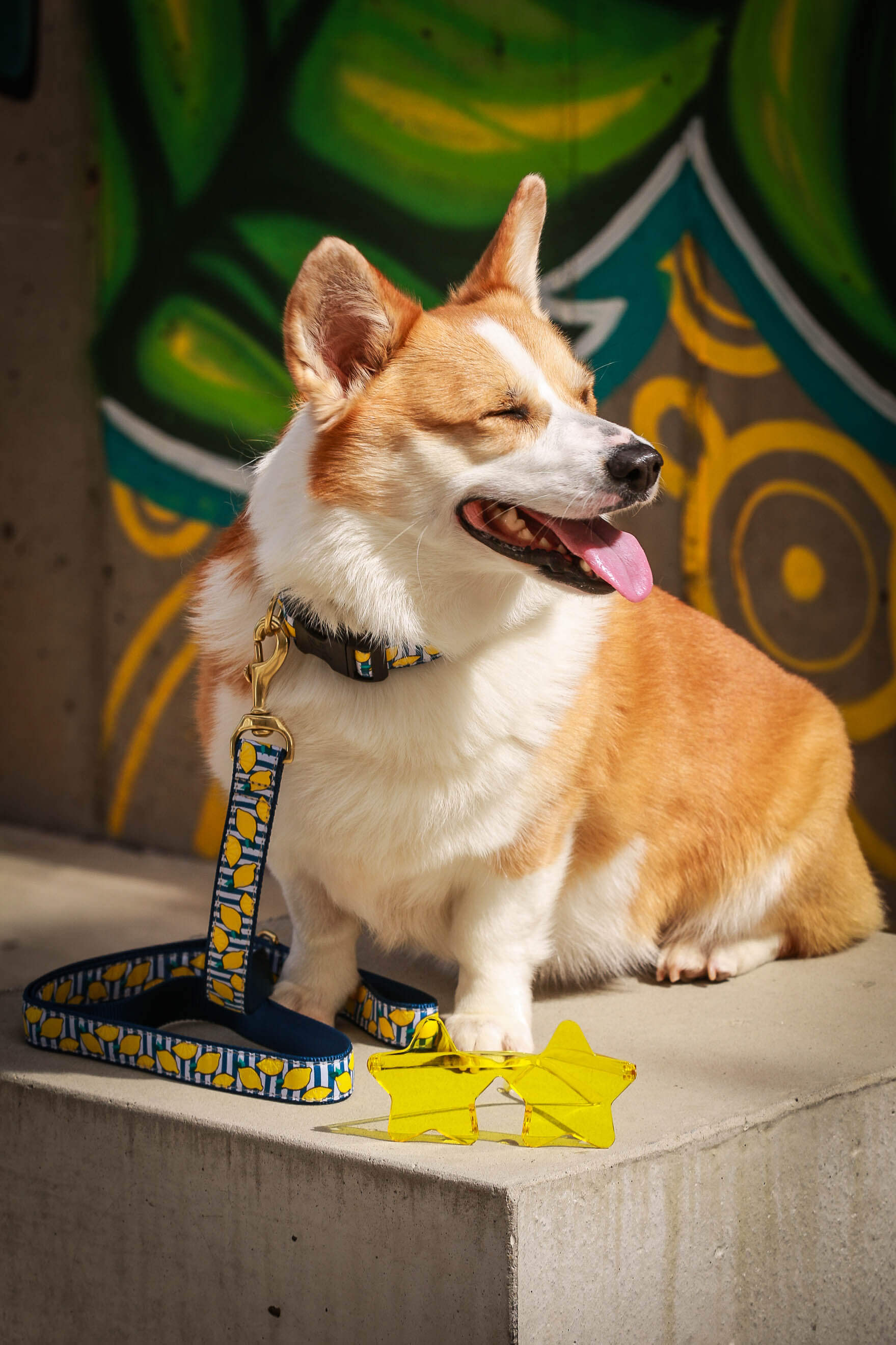 Make Lemonade Collar