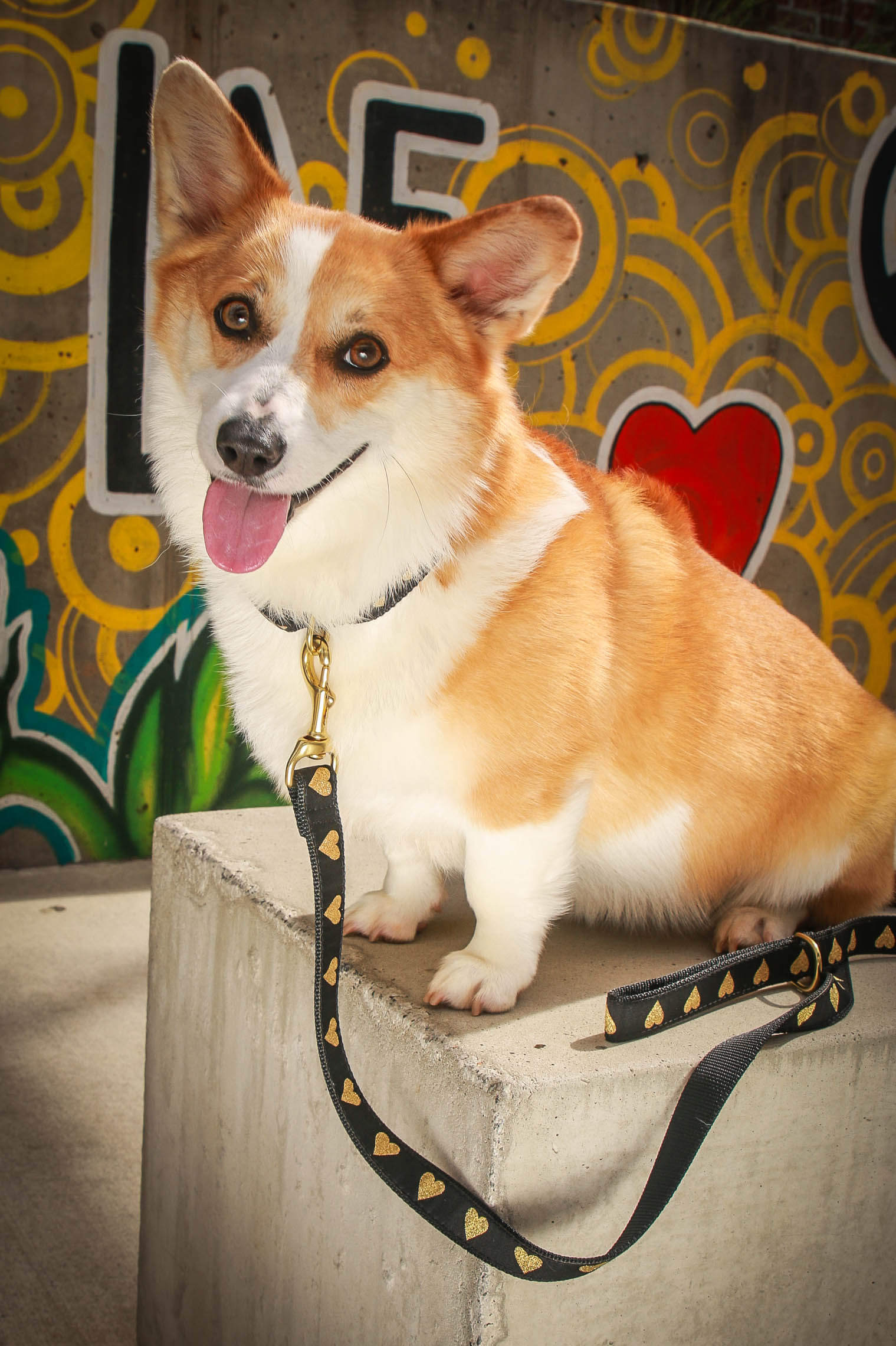 Heart of Gold Collar