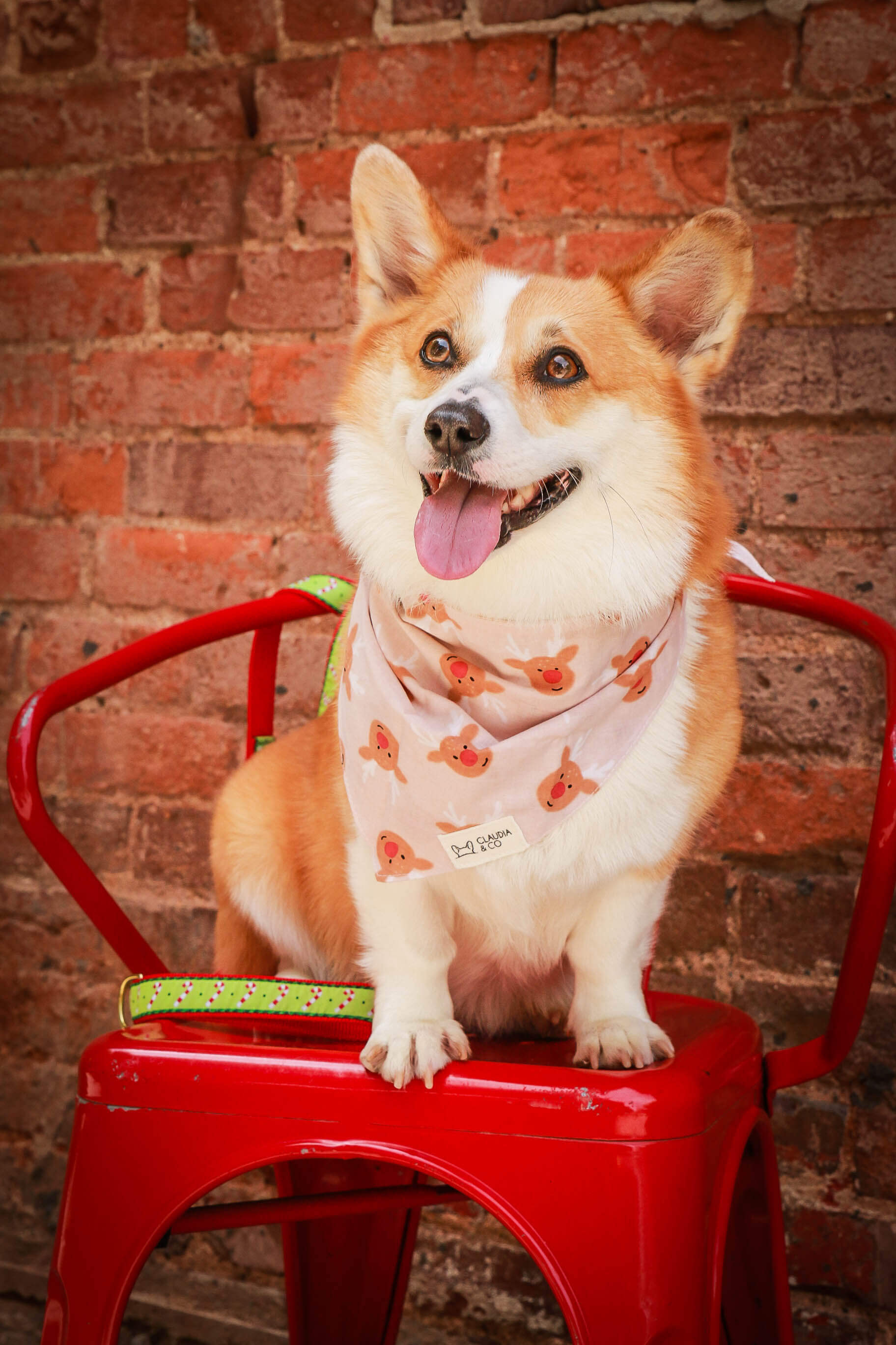 Reindeer Bandana