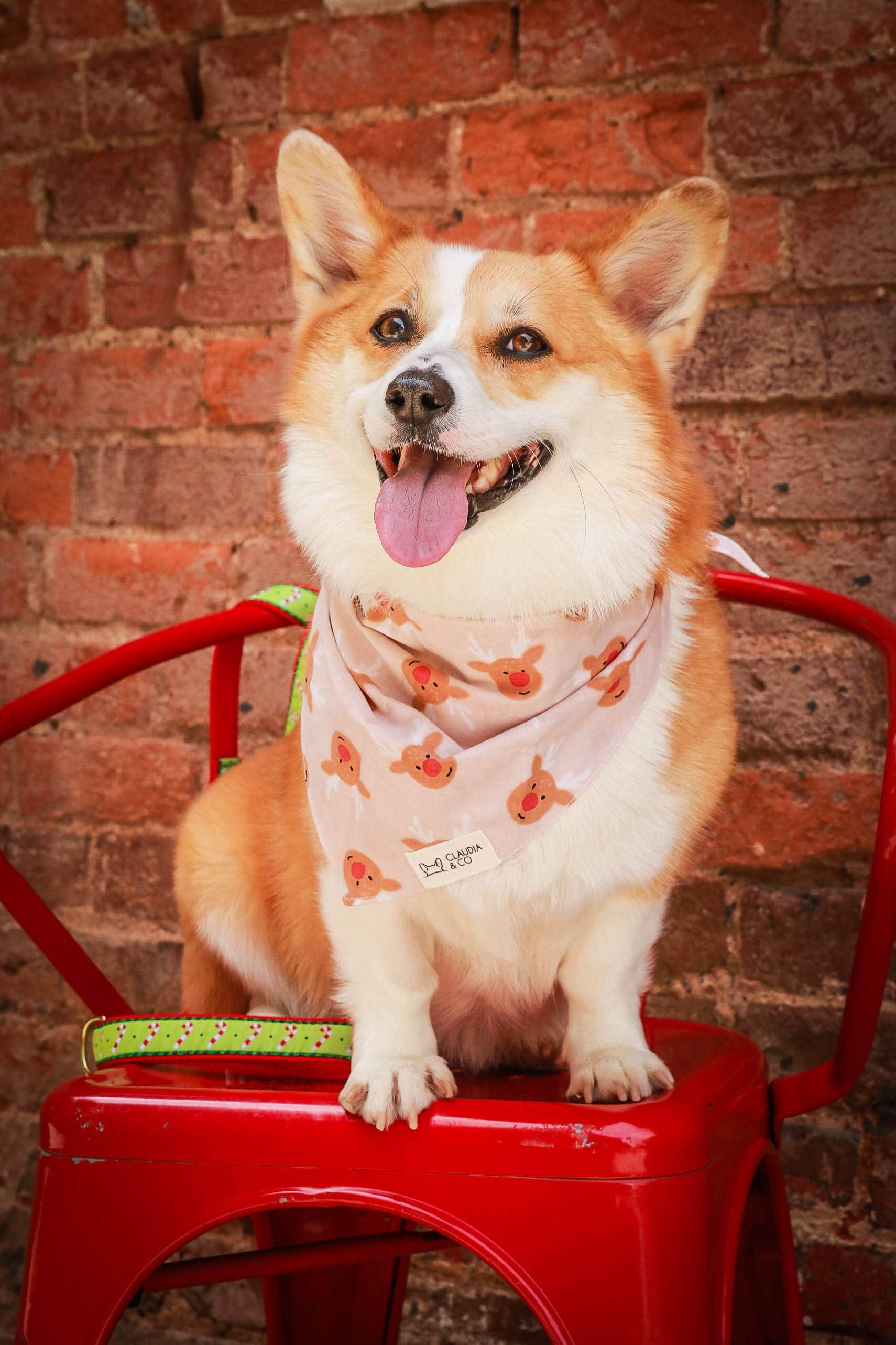 Reindeer Bandana