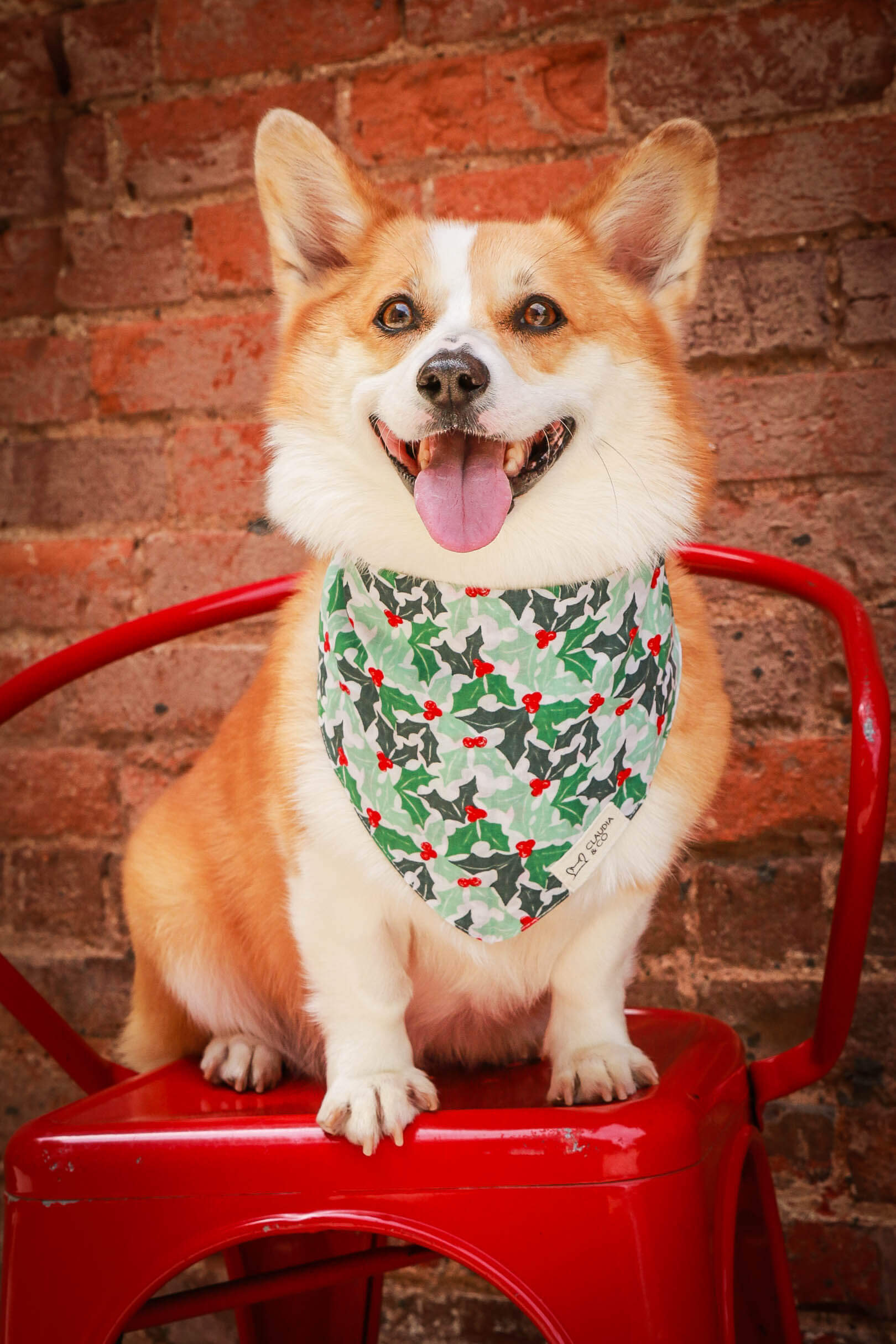 Holly Berry Bandana