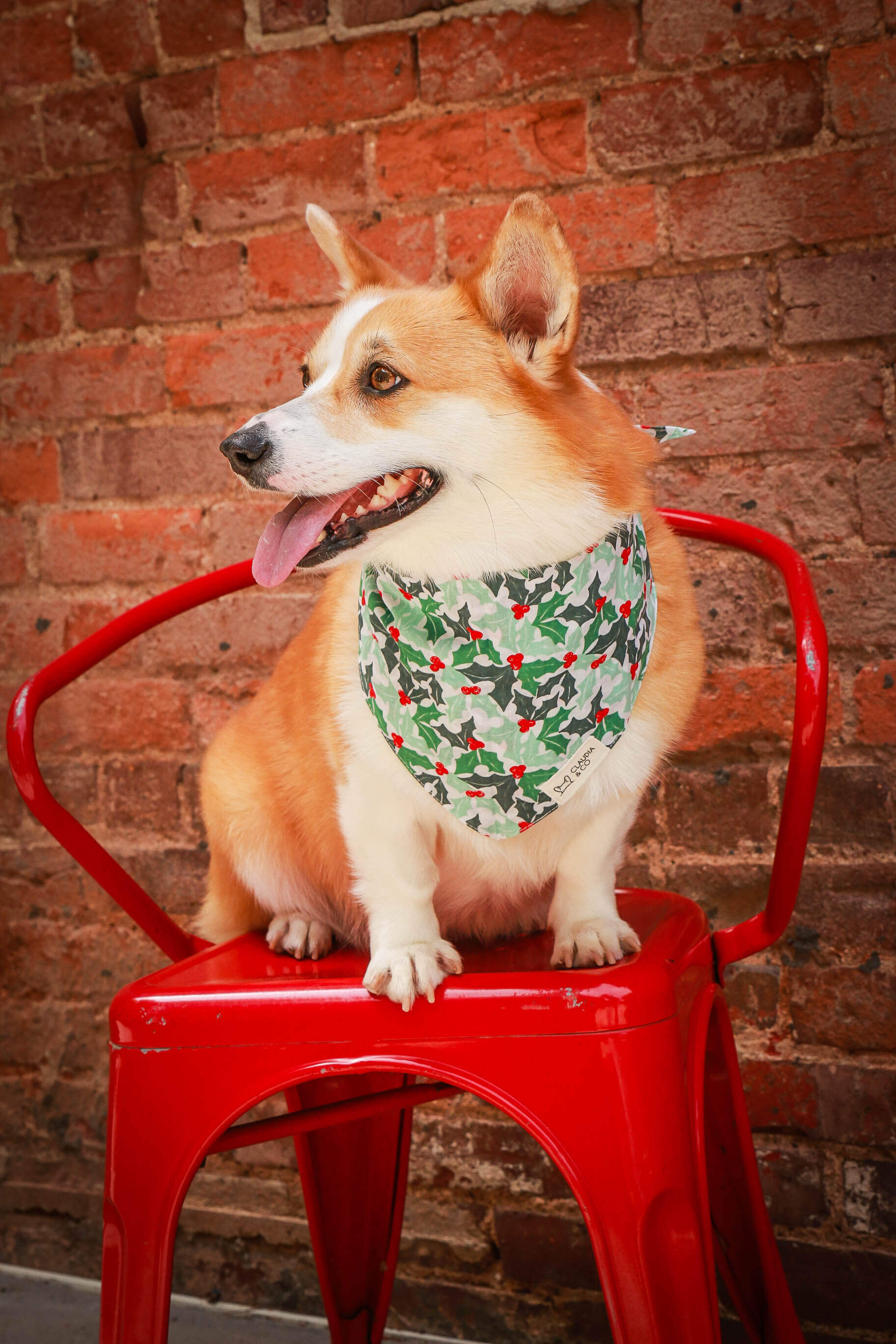 Holly Berry Bandana