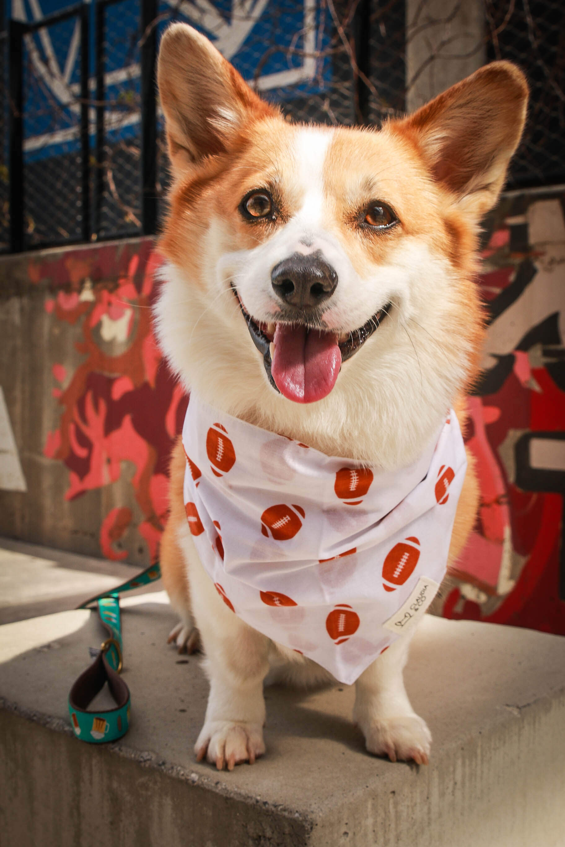 Football Bandana