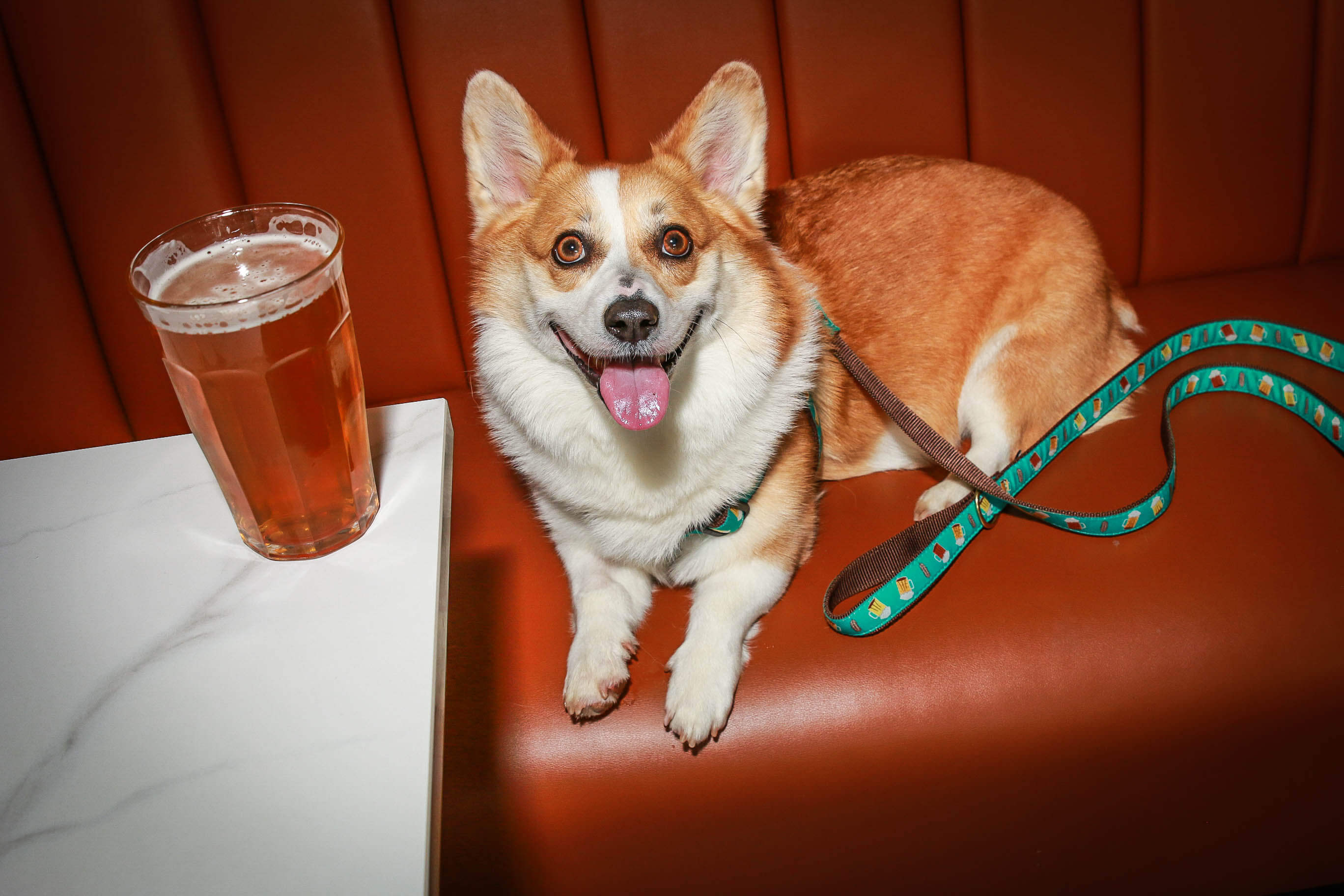 Beer Lover Lead